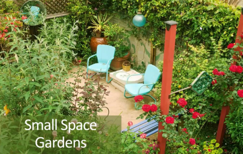 Small Space Gardens_Thumb