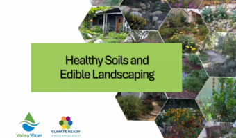 Healty Soils Thumbnail