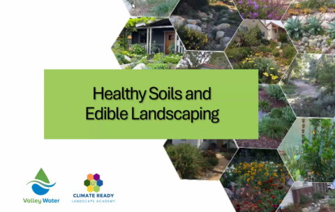 Healty Soils Thumbnail