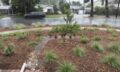 G3_Capture-Rain_Class-300x225