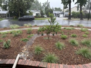 G3_Capture-Rain_Class-300x225