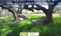 How to Build a Living Soil Sponge Thumb
