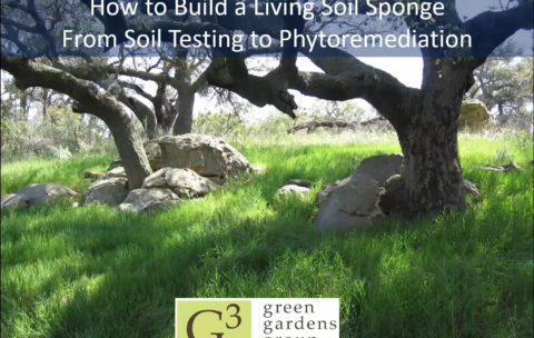 How to Build a Living Soil Sponge Thumb