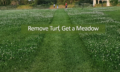 RemoveTurf_GetMeadow_Thumb