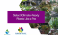 CRLA Select Plants LIke a Pro Thumb