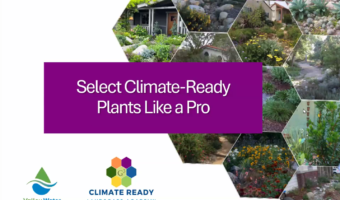CRLA Select Plants LIke a Pro Thumb