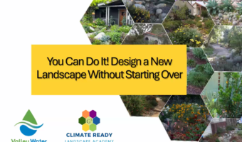 Design A New Landscape CRLA Thumb