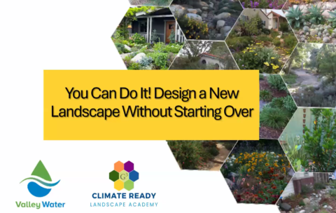 Design A New Landscape CRLA Thumb