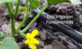 Drip Irrigation_MOnterey_Thumb