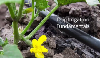 Drip Irrigation_MOnterey_Thumb